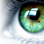 eye
