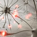 epilepsia