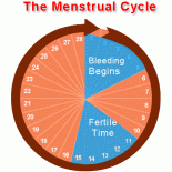 ciclul menstrual