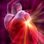 insuficienta cardiaca insuficienta cardiaca