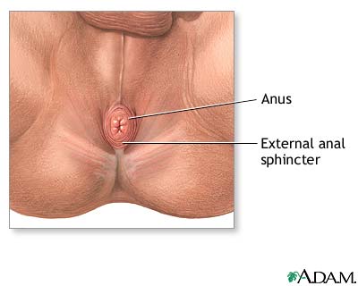 Manifestare periodică în zona prostatitei anusului ,prevenirea fătului cateterului de prostatită