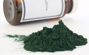 spirulina